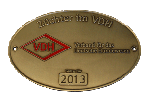 VHD-Züchterplakette 2013